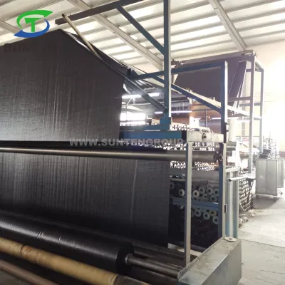 El estándar de EU Anti-UV negro/verde/blanco/PE/PP tejido plástico de control de malezas Geotextile/Anti hierba/tejido para la Agricultura/Jardín/horizontal