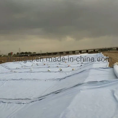 Tela no tejida Geotextil bajo grava separación de camino tejido Geotextil en Lago