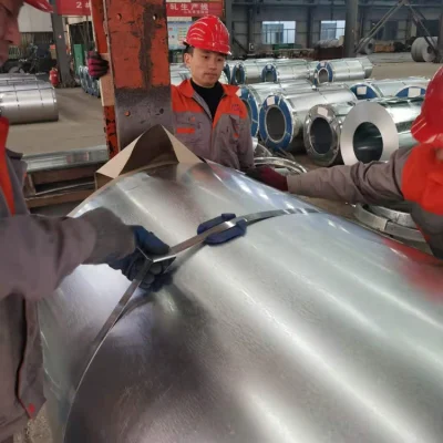 Las hojas de acero galvanizado electro/EG/Egi/bobinas de acero galvanizado en caliente de China Professional Precio de fabricante