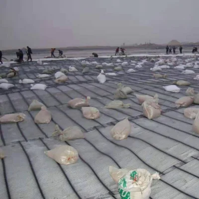 Jubo Polyester Roll HDPE Geogrid para construcción de calzadas Proveedor