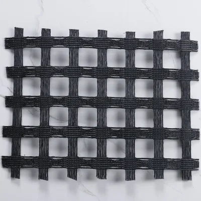 Poliéster Geogrid poliéster usado en construcción de camino de muelle