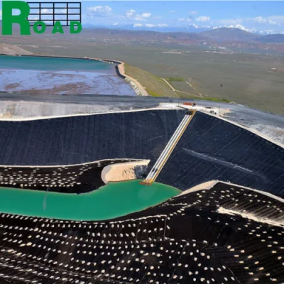 Fabricante de negro personalizado 1mm 2mm HDPE PVC EVA Geomembrana Película para digestores de biogás Precio para proveedor de pescado y. Acuicultura de camarón Anti filtración