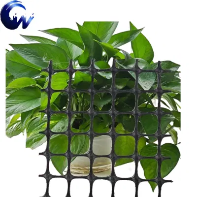 Biaxial Geogrid Factory Precio vía de acceso vía de tren refuerzo plástico Geogrid