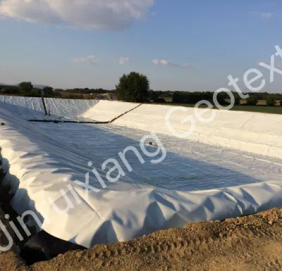 Directa de Fábrica de PP Pet Geotextile mejor calidad para el cierre de nivelación en Malasia, Tailandia, Filipinas
