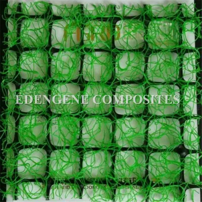 Reforzado Geocomposite Geomat 3D para mantener la tierra y pasto que crece el control de erosión