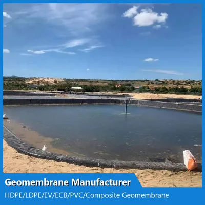 China HDPE Geomembrana Fabricante de Jardinería/Lagos artificiales/Ríos/embalses/impermeable y verde a prueba de humedad Lawnst