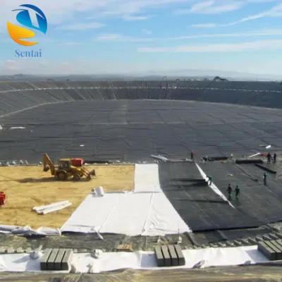 HDPE Geomembrana Nuevo material membrana impermeable no tóxica, inodoro y ecológica para fines de ingeniería