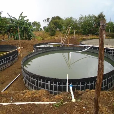 Certificación ISO CE HDPE Plásticos Liner Geomembrana para tanque de pescado En Indonesia