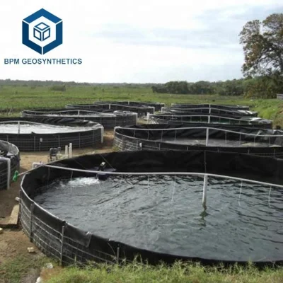 Certificación ISO CE HDPE Plásticos Liner Geomembrana para tanque de pescado En Indonesia