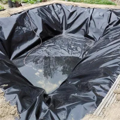 China PEAD/LDPE/PVC/EV/PE/ECB/Geomembrana compuesta Fabricante de Acuicultura/pescado/Camarones/Pond/Dam/vertedero/Minería/SAL/Tavillador/Reserva