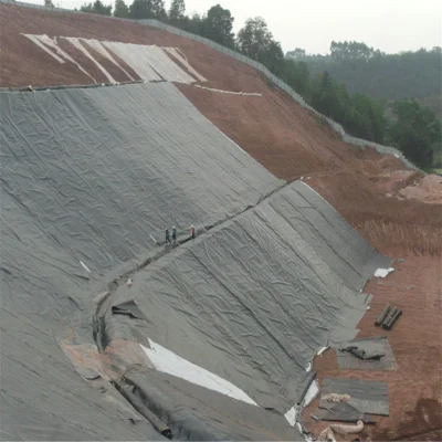 1,5 mm estándar ASTM HDPE/LLDPE/EVA Geomembrana