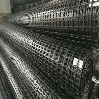 Fábrica Geogrid Proveedor de la mejor calidad PP Biaxial Geogrid para la carretera Construcción