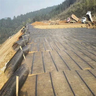 Tejido Geogrid uniaxial plástico Biaxial para instalación Geogrid Estabilización de pendiente En Filipinas