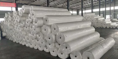 Precio al por mayor Hoja de Polietileno paisaje Geotextil para la fábrica de Estabilización del Suelo Oferta Venta caliente