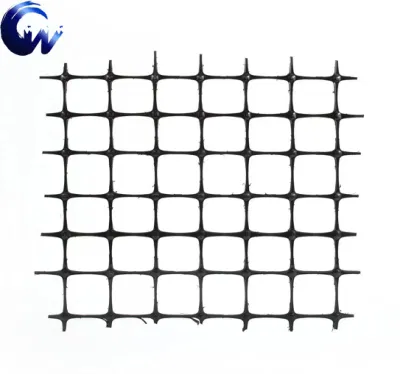 China Geogrid Proveedor de la mejor calidad PP Biaxial Geogrid para la carretera Construcción