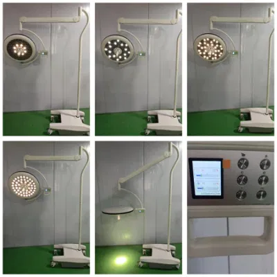 Factory Vet instrumentos orales sin sombras instrumentos médicos dentales Cirugía Veterinaria LED Luz de funcionamiento