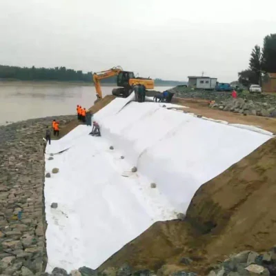 El PP no tejida Geotextile Pet Geomembrana para vertederos Project