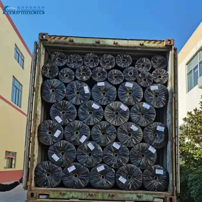 Anti filtración ASTM 100% virgen HDPE superficie texturizada Geomembrana China Fabricante