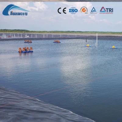Indonesia 0,5mm piscicultura HDPE Geomembrana China Proveedor Geomembrana HDPE 0,75mm Pond Liner