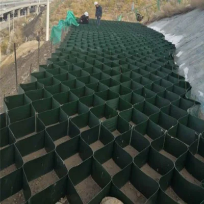 China Grid de tierra de la carretera de HDPE Geocell estabilizador para la venta