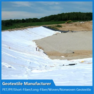Polipropileno PP filtración Geo Textil poliéster Pet tejido no tejido Geotextil tejido tejido Precio para Roof Garden GSM
