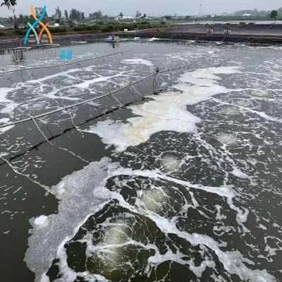 Fabricados en China Proyecto Hidráulico resistencia al impacto de 0,2mm-2.5mm hoja de polietileno de alta densidad de la membrana impermeabilizante con un buen servicio