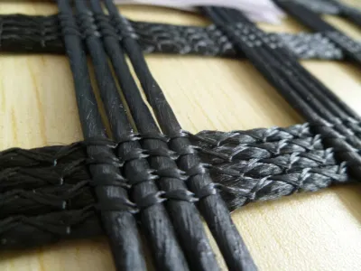 Geogrid de poliéster de alta resistencia a la tracción