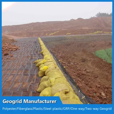 China Geogrid Fabricante PP plástico/poliéster Uniaxial/Uniaxial Geogrid Fabricante de pendiente Protección