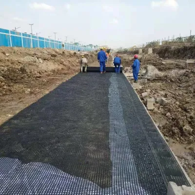 400-400kn/M Biaxial Uniaxial de alta calidad Negro de poliéster de mascotas Geogrid