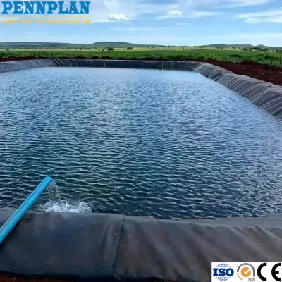 ASTM Alta calidad 0,2mm~3,0mm HDPE Geomembrana impermeable de LDPE para la agricultura Forro de Pond liso y Textured para relleno de tierra Anti-filtración Geomembrane