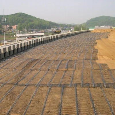 Refuerzo PP Biaxial plástico Geogrid o PP HDPE Uniaxial Geogrid