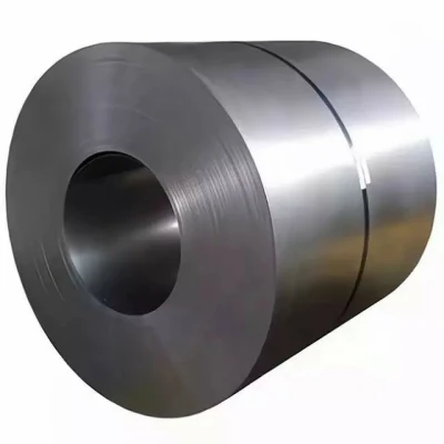 Ss 316L/317L/304/409/309S ASTM laminadas en caliente laminado en frío de la placa de acero inoxidable/hoja/bobina/Strip los fabricantes a bajo precio de la bobina de acero inoxidable