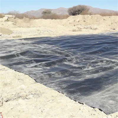 0,3mm/0,8mm/1,2mm/1,5mm/2mm Vannamei Cata de gambas Granja HDPE Geomembrane Dam Liner in Chile/Perú/Dominica/Nicaragua/Camboya