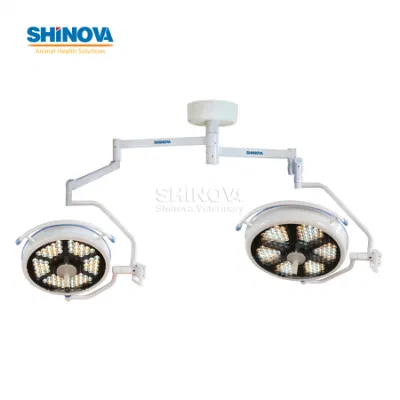 Tipo de techo de alta calidad Doble cabezal de operación Luz LED sin sombras Luz de funcionamiento