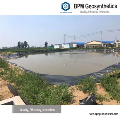 Revestimiento de polietileno de alta densidad Geomembrana para Camarones de cultivo Pond in Bélgica