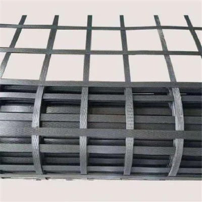 Geogrids plásticos de acero para la construcción y protección de pendientes nuevos materiales