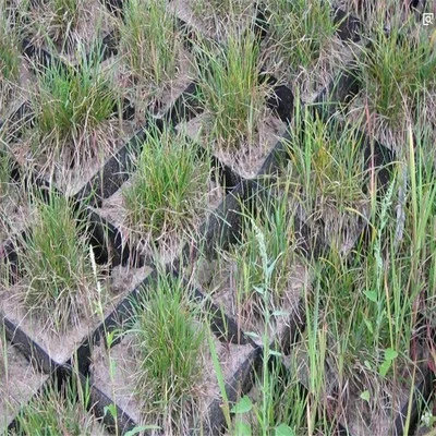 Fabricación Estabilizador de precios HDPE Geocell Gravel Grid for Ground