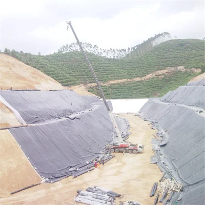 Geotextile Liner estanques tanque de pescado Doble cara Texturizada Geomembrana HDPE 1mm Lake Pond Liner