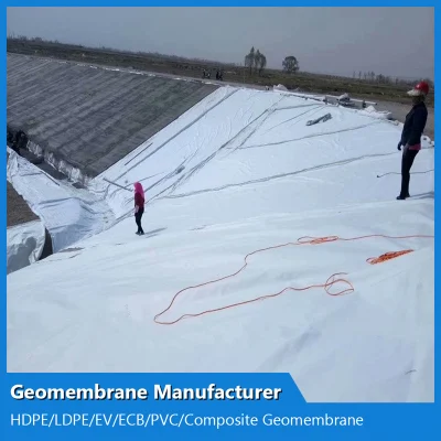 China HDPE Waterproof Composite Geomembrane Factory/Supplier/Wholesale for Chemical Industry