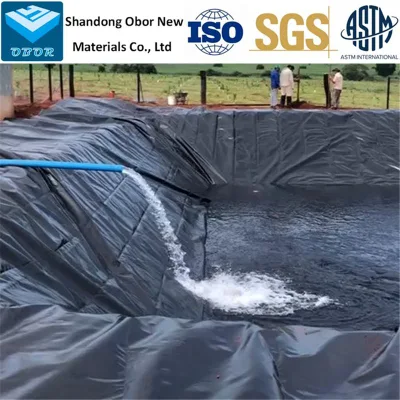 0,5mm/0,75mm/1,0mm/1,5mm/2,0mm ASTM impermeable HDPE Geomembrana para presa/vertedero/Lago/biogás/Minería/pescado/Pond. De granja de camarones Precio del fabricante de línea