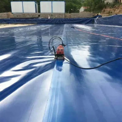 Precio HDPE Geomembrana para la presa Fish Farm Pool Liner