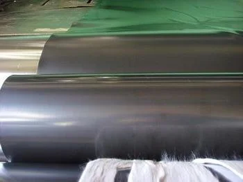 China Wholesale Geomembrana Geotextile Geocell personalizado para el vertido, proyectos ambientales