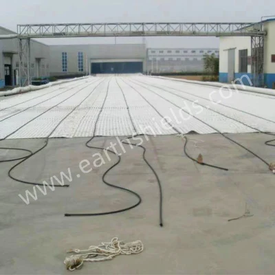 PP plástico HDPE de geomalla 100/20 Uniaxial Kn para proyecto de carretera en Tailandia