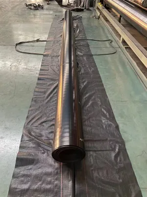 China Wholesale Geomembrana Geotextile Geocell personalizado para el vertido, proyectos ambientales