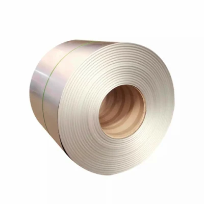 Ss 316L/317L/304/409/309S ASTM laminadas en caliente laminado en frío de la placa de acero inoxidable/hoja/bobina/Strip los fabricantes a bajo precio de la bobina de acero inoxidable
