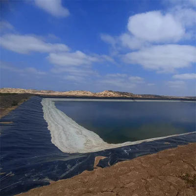 0,3mm/0,8mm/1,2mm/1,5mm/2mm Vannamei Cata de gambas Granja HDPE Geomembrane Dam Liner in Chile/Perú/Dominica/Nicaragua/Camboya