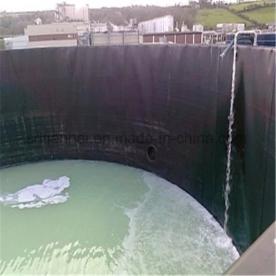 Excelente calidad 1,0mm HDPE Geomembrana Liner para tratamiento de aguas residuales