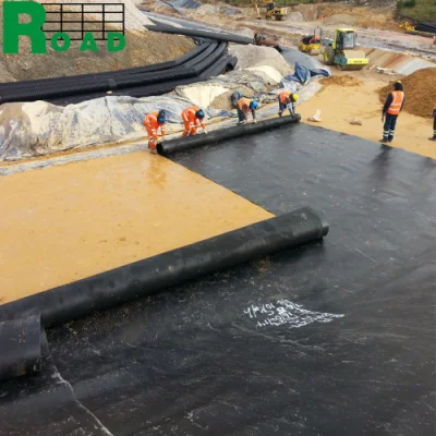 Fabricante de negro personalizado 1mm 2mm HDPE PVC EVA Geomembrana Película para digestores de biogás Precio para proveedor de pescado y. Acuicultura de camarón Anti filtración