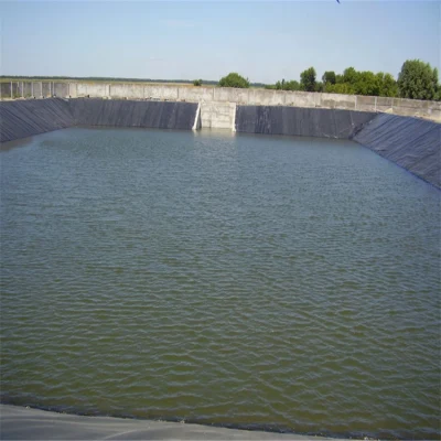 60 mils de plástico de Tilapia Terpal Kolam Geomembrana HDPE Circular de rollo de la cría de peces de agua de PVC Depósito Biofloc