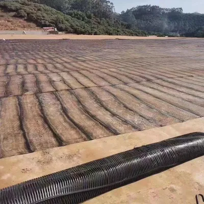 Plástico uniaxial de PP/HDPE de alta resistencia Geogrid para el refuerzo de pared de retención